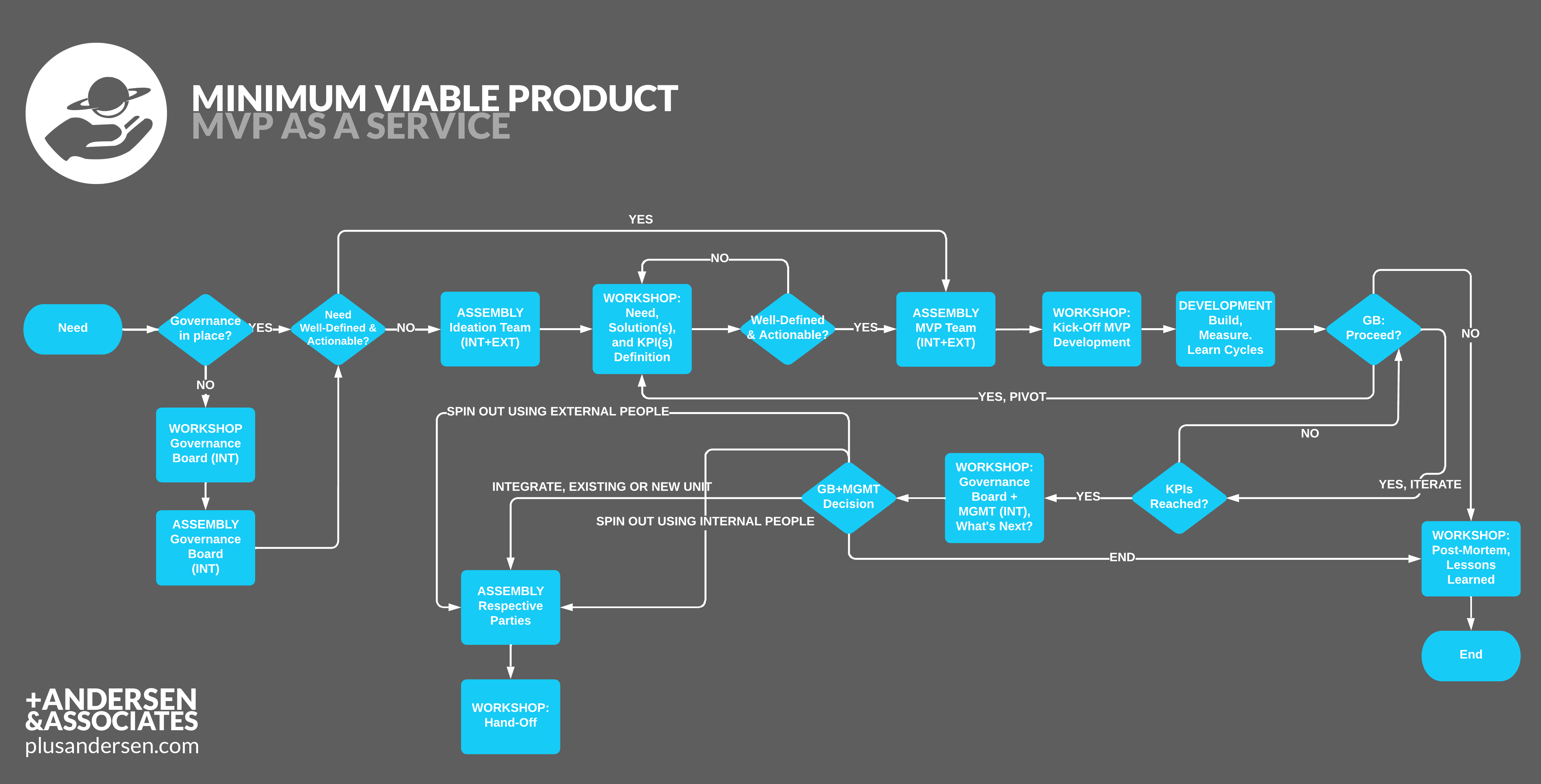 A flowchart of the MVP as a Service process